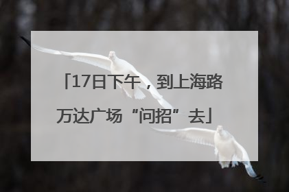 17日下午，到上海路万达广场“问招”去