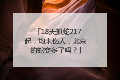 18天抓蛇217起，均未伤人，北京的蛇变多了吗？