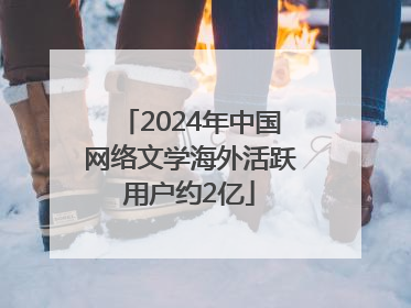 2024年中国网络文学海外活跃用户约2亿
