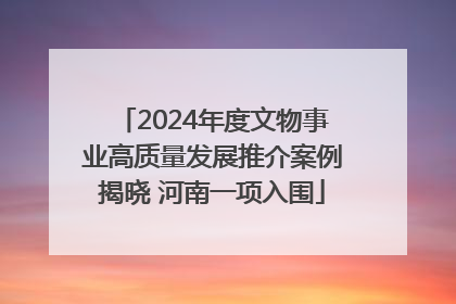 2024年度文物事业高质量发展推介案例揭晓 河南一项入围