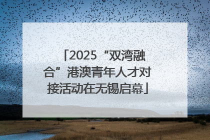 2025“双湾融合”港澳青年人才对接活动在无锡启幕