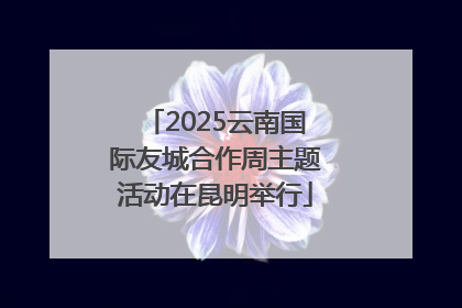 2025云南国际友城合作周主题活动在昆明举行