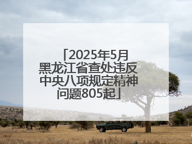 2025年5月黑龙江省查处违反中央八项规定精神问题805起