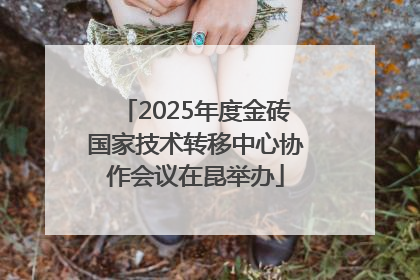 2025年度金砖国家技术转移中心协作会议在昆举办