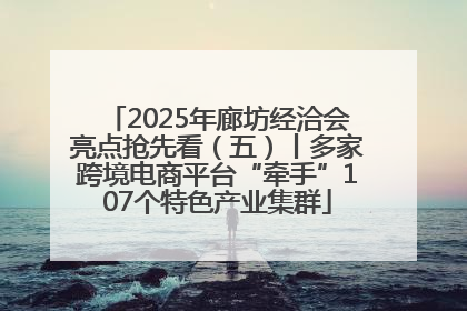 2025年廊坊经洽会亮点抢先看（五）丨多家跨境电商平台“牵手”107个特色产业集群