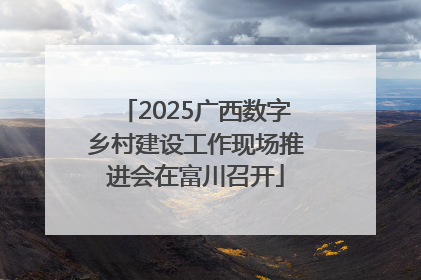 2025广西数字乡村建设工作现场推进会在富川召开