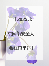 2025北京网络安全大会在京举行
