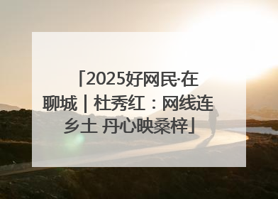 2025好网民·在聊城｜杜秀红：网线连乡土 丹心映桑梓