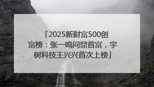 2025新财富500创富榜：张一鸣问鼎首富，宇树科技王兴兴首次上榜