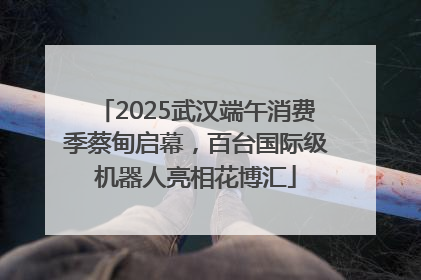 2025武汉端午消费季蔡甸启幕，百台国际级机器人亮相花博汇