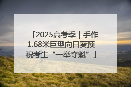 2025高考季｜手作1.68米巨型向日葵预祝考生“一举夺魁”