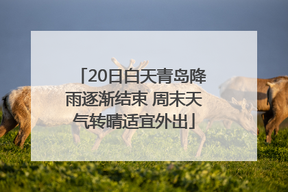 20日白天青岛降雨逐渐结束 周末天气转晴适宜外出
