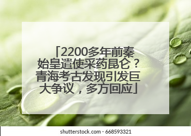 2200多年前秦始皇遣使采药昆仑？青海考古发现引发巨大争议，多方回应