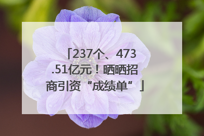 237个、473.51亿元！晒晒招商引资“成绩单”