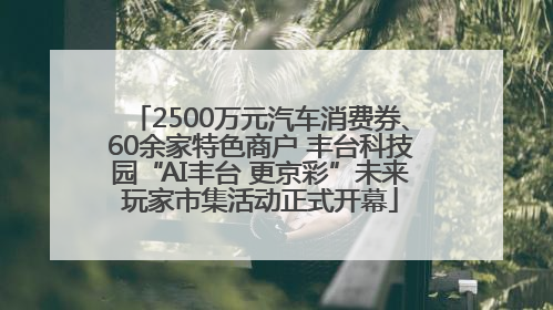 2500万元汽车消费券、60余家特色商户 丰台科技园“AI丰台 更京彩”未来玩家市集活动正式开幕