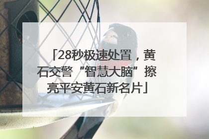 28秒极速处置，黄石交警“智慧大脑”擦亮平安黄石新名片