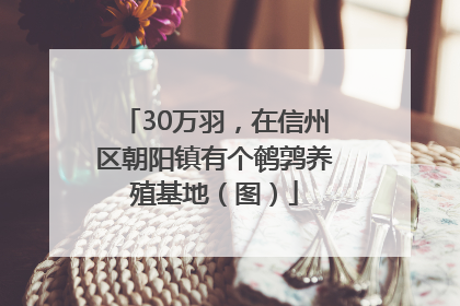 30万羽，在信州区朝阳镇有个鹌鹑养殖基地（图）