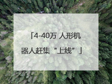 4-40万 人形机器人赶集“上线”