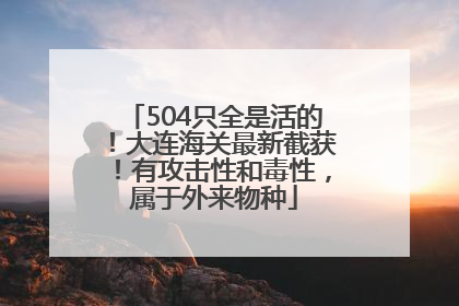 504只全是活的！大连海关最新截获！有攻击性和毒性，属于外来物种
