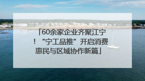 60余家企业齐聚江宁！“宁工品推”开启消费惠民与区域协作新篇