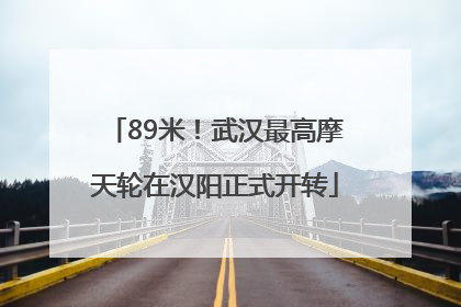89米！武汉最高摩天轮在汉阳正式开转