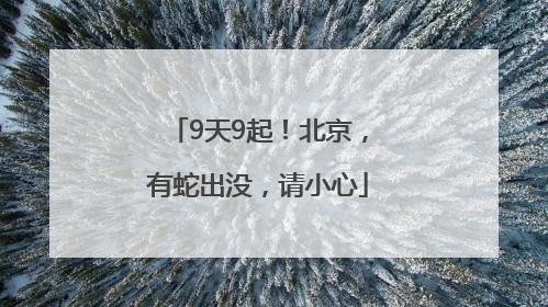 9天9起！北京，有蛇出没，请小心