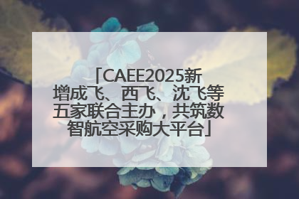 CAEE2025新增成飞、西飞、沈飞等五家联合主办，共筑数智航空采购大平台