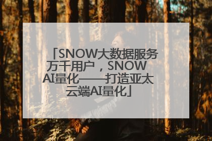 SNOW大数据服务万千用户，SNOW AI量化——打造亚太云端AI量化